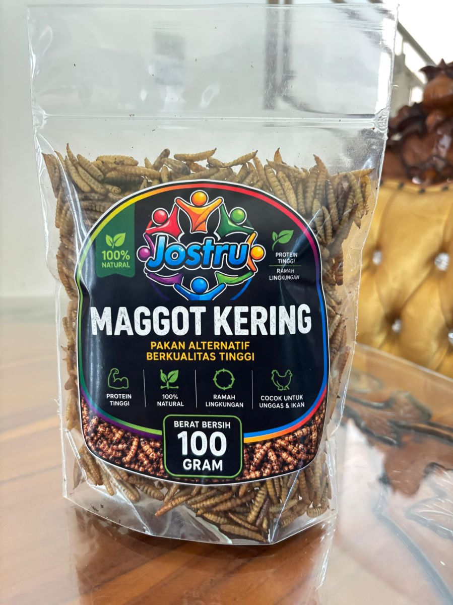 Maggot Kering Premiun
